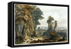 New Harmony on the Wabash, Plate 2 from Volume 2 of "Travels in the Interior of North America"-Karl Bodmer-Framed Stretched Canvas