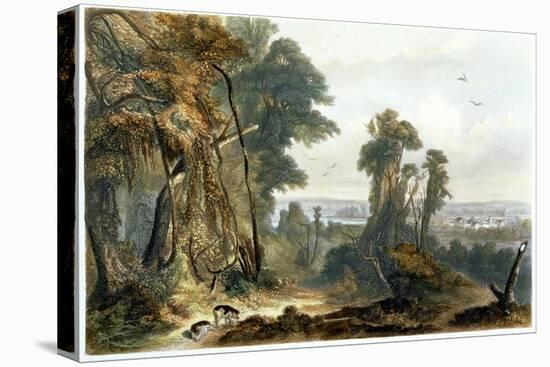 New Harmony on the Wabash, Plate 2 from Volume 2 of "Travels in the Interior of North America"-Karl Bodmer-Stretched Canvas
