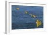 New Hawaii Map-Design Turnpike-Framed Giclee Print