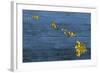 New Hawaii Map-Design Turnpike-Framed Giclee Print