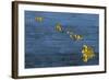 New Hawaii Map-Design Turnpike-Framed Giclee Print