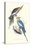 New Holland Parakeets -Nynphicus Hollandicus-Edward Lear-Stretched Canvas
