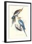 New Holland Parakeets -Nynphicus Hollandicus-Edward Lear-Framed Art Print