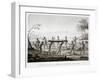New Holland, Port Jackson: Burial Ceremony of the Aborigines Book Illustration-null-Framed Giclee Print