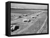 New homes for families at Mineral King Cooperative Farm. Tulare County, California.1939-Dorothea Lange-Framed Stretched Canvas