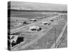 New homes for families at Mineral King Cooperative Farm. Tulare County, California.1939-Dorothea Lange-Stretched Canvas