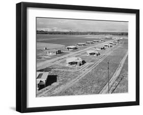 New homes for families at Mineral King Cooperative Farm. Tulare County, California.1939-Dorothea Lange-Framed Photographic Print