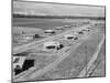 New homes for families at Mineral King Cooperative Farm. Tulare County, California.1939-Dorothea Lange-Mounted Photographic Print