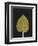 New Hosta 3-Mary Margaret Briggs-Framed Premium Giclee Print