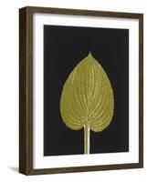 New Hosta 3-Mary Margaret Briggs-Framed Giclee Print