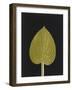 New Hosta 3-Mary Margaret Briggs-Framed Premium Giclee Print