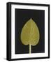 New Hosta 3-Mary Margaret Briggs-Framed Premium Giclee Print