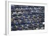 New Housing Development, Flat Bush, Auckland, North Island, New Zealand-David Wall-Framed Photographic Print