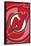 New Jersey Devils - Logo 14-null-Framed Poster