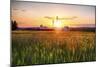 New Jersey Farm at Sunset-George Oze-Mounted Photographic Print