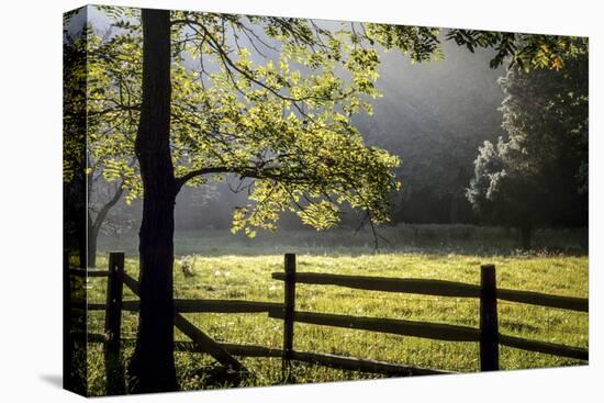 New Jersey, Hunterdon Co, Mountainville, Wooden Fence around a Meadow-Alison Jones-Stretched Canvas