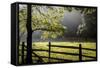 New Jersey, Hunterdon Co, Mountainville, Wooden Fence around a Meadow-Alison Jones-Framed Stretched Canvas