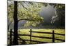 New Jersey, Hunterdon Co, Mountainville, Wooden Fence around a Meadow-Alison Jones-Mounted Photographic Print