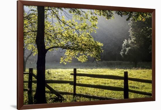 New Jersey, Hunterdon Co, Mountainville, Wooden Fence around a Meadow-Alison Jones-Framed Photographic Print