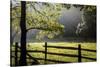 New Jersey, Hunterdon Co, Mountainville, Wooden Fence around a Meadow-Alison Jones-Stretched Canvas