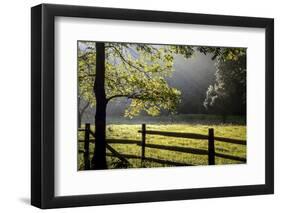 New Jersey, Hunterdon Co, Mountainville, Wooden Fence around a Meadow-Alison Jones-Framed Photographic Print