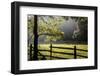 New Jersey, Hunterdon Co, Mountainville, Wooden Fence around a Meadow-Alison Jones-Framed Photographic Print