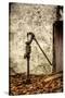 New Jersey, Hunterdon County, Cokesbury, Old Hand Pump-Alison Jones-Stretched Canvas