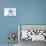 New Jersey - Starfish - Blue - Coastal Icon-Lantern Press-Stretched Canvas displayed on a wall