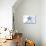 New Jersey - Starfish - Blue - Coastal Icon-Lantern Press-Stretched Canvas displayed on a wall