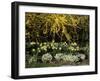 New Jersey State Botanical Garden, New Jersey, USA-null-Framed Photographic Print