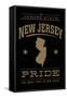 New Jersey State Pride - Gold on Black-Lantern Press-Framed Stretched Canvas