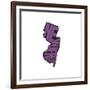 New Jersey-Art Licensing Studio-Framed Giclee Print
