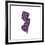 New Jersey-Art Licensing Studio-Framed Giclee Print