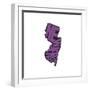 New Jersey-Art Licensing Studio-Framed Giclee Print