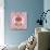 New Lacey Rose Cake-Wendy Edelson-Giclee Print displayed on a wall