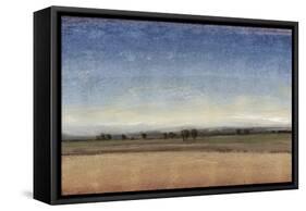 New Land II-Tim O'toole-Framed Stretched Canvas