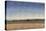 New Land II-Tim O'toole-Stretched Canvas