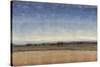 New Land II-Tim O'toole-Stretched Canvas