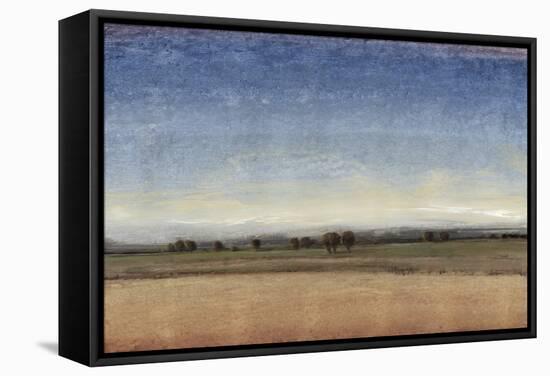 New Land II-Tim O'toole-Framed Stretched Canvas