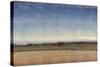 New Land II-Tim O'toole-Stretched Canvas