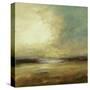 New Land-Lisa Ridgers-Stretched Canvas