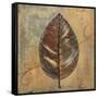 New Leaf II (mustard)-Patricia Pinto-Framed Stretched Canvas