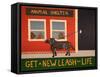 New Leash On Life Animal Shelter-Stephen Huneck-Framed Stretched Canvas