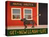 New Leash On Life Animal Shelter-Stephen Huneck-Stretched Canvas