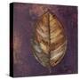 New Leaves I (Purple)-Patricia Pinto-Stretched Canvas