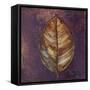 New Leaves I (Purple)-Patricia Pinto-Framed Stretched Canvas