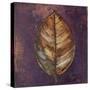 New Leaves I (Purple)-Patricia Pinto-Stretched Canvas