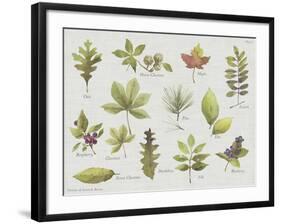 New Leaves I-Sandra Jacobs-Framed Giclee Print