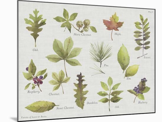 New Leaves I-Sandra Jacobs-Mounted Giclee Print