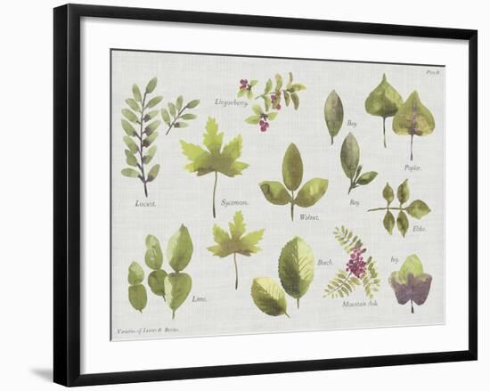 New Leaves II-Sandra Jacobs-Framed Giclee Print